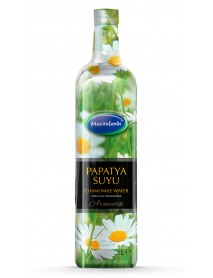 PAPATYA SUYU 1L